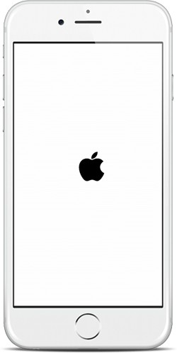 iPhone 6 Boot Logo Bug