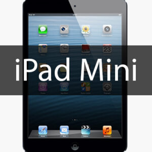 iPad Mini Mail In Repair by The Device Shop in New York